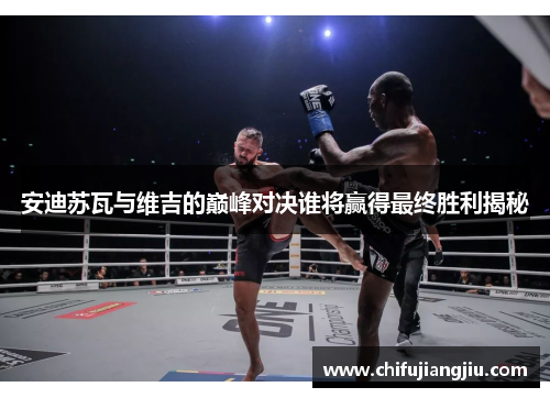 安迪苏瓦与维吉的巅峰对决谁将赢得最终胜利揭秘